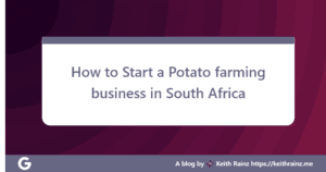 How to Start a Potato farming business in South Africa