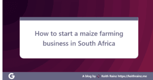 How to start a maize farming business in South Africa
